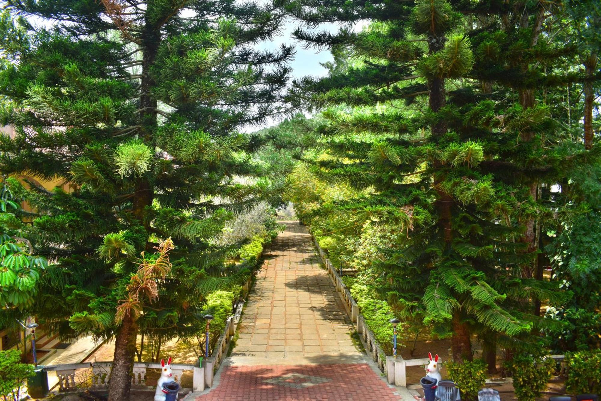 Jains Royal Palace Resorts Yelagiri Exteriér fotografie